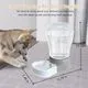 STALTWO 1.58 Gallon Dog Water Bowl Dispenser - Image 3