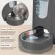 WyfKyd 2 Pack Automatic Pet Feeder and Water Dispenser (1 Gallon, Charcoal Gray) - Image 4