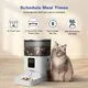 ANDOLL HOME 4L Automatic Cat Feeder - Image 2