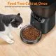 Katalic Automatic Cat Feeder - Image 2