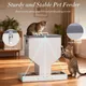 PAULOZYN Automatic Cat Feeder 12L - Image 3