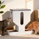 PAULOZYN Automatic Cat Feeder 12L - Image 1