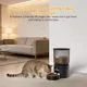 PETSDA 4L Automatic Cat Feeder - Image 3