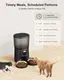 CORGOTE Automatic Cat Feeder 6L/25 Cups - Image 2