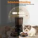 Katalic Automatic Cat Feeder 5L - Image 3