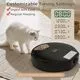ITSCUTE Automatic Pet Feeder with Ice Cube Tray - Image 2