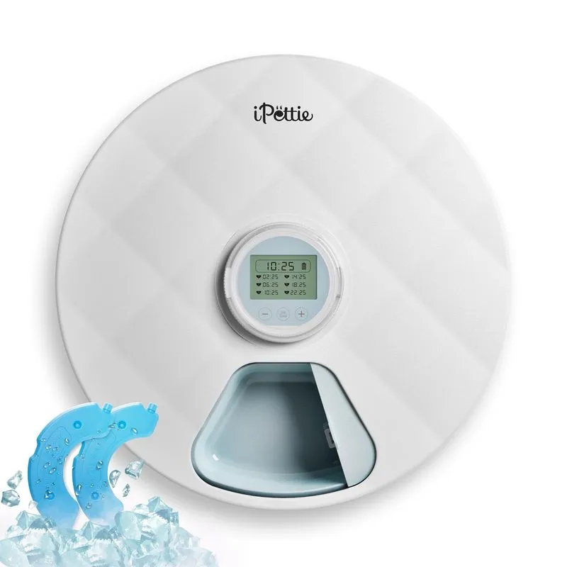 iPettie Brioche Automatic Pet Food Feeder