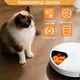 SAROSORA Automatic Cat Food Feeder with Cooling - Image 4