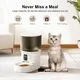 Darlipet 4L Automatic Cat Feeder - Image 2