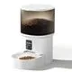 Darlipet 4L Automatic Cat Feeder - Image 1