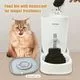 Petmagic 3.6L Gravity Cat Feeder and Water Dispenser - Image 2