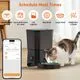 HoneyGuaridan Automatic Cat Feeder S25 (WiFi) - Image 2