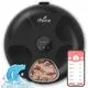 iPettie Donut Frost WiFi 6 Meal Cat Food Dispenser - Image 1