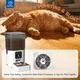 PAPIFEED 5G WiFi Automatic Cat Feeder 6L - Image 4