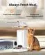 PETKIT Yumshare Solo Automatic Cat Feeder with Camera - Image 4