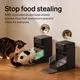 PETLIBRO RFID Automatic Cat Feeder 3L (Black) - Image 4