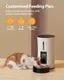 Petory Automatic Cat Feeder 4L - White - Image 2