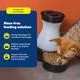 PetSafe Healthy Pet Food Station - Medium - Image 3