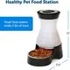 PetSafe Healthy Pet Food Station Small - Image 3