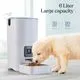 Pitpet Smart Automatic Cat Feeder 6L - Image 3