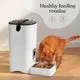Pitpet Smart Automatic Cat Feeder 6L - Image 4